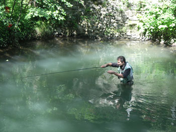 Les broderies du schéma sur la pêche
