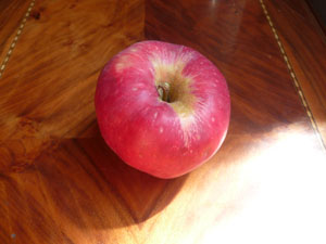  la pomme Dona Maria &nbsp;